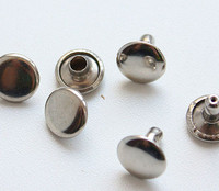 Хольнитены двухсторонние в Курске