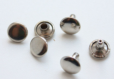 Хольнитены двухсторонние в Курске