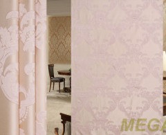 HXN HX8802-01/300 PJak