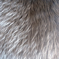 Мех искусственный длинноворсовый  в Курске