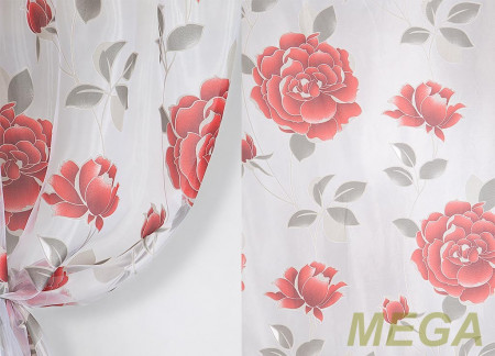 Деворе Органза в Курске