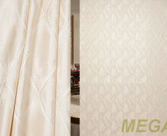 HLS 90027-H3006/300 PJac